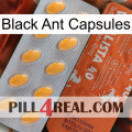 Black Ant Capsules 43